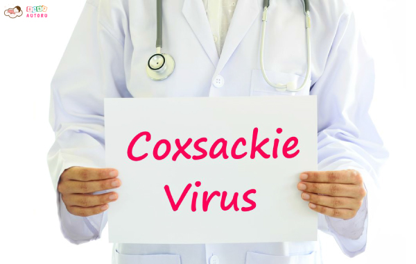 Virus đường ruột Enterovirus gây ra bệnh tay chân miệng